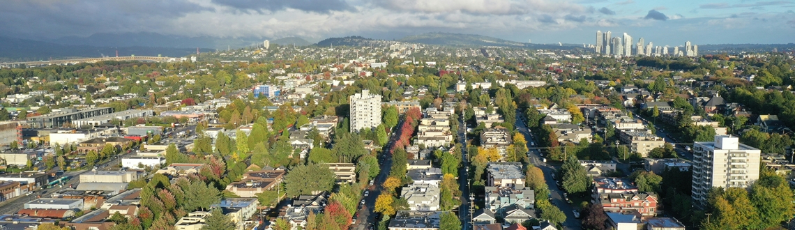 Urbane šume u borbi s klimatskim promjenama, što znamo to dijelimo s vama.